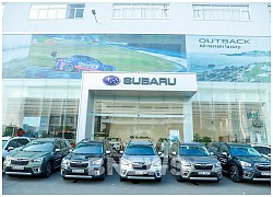 Subaru hỗ trợ 100% lệ phí trước bạ cho Forester, cao nhất đến 229 triệu đồng