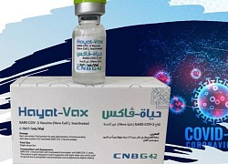 Thủ tướng giao Bộ Y tế kiểm tra, cấp phép khẩn vắc xin Covid-19 Hayat &#8211; Vax