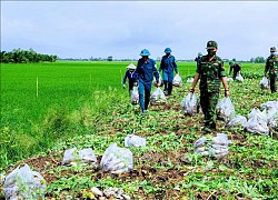 Từng bước ổn định tiêu thụ nông sản ở Đồng bằng sông Cửu Long