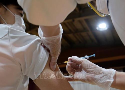 WHO: Không cần thiết tiêm mũi vaccine tăng cường