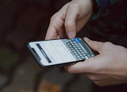 Bán bánh chưng đón Tết sớm, khách xin liền cho còn freeship