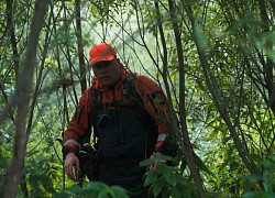 Bé gái gần 2 tuổi sống sót kỳ diệu sau 3 ngày lạc trong rừng nhiều thú dữ