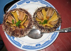 Bổ dưỡng cầu gai