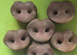 Chồng khoe vợ bầu thèm ăn món lạ, nhìn vào nồi dân mạng "hết hồn"