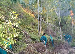 Đà Nẵng: 2 ngày, 2 vụ cháy rừng liên tiếp vì nắng nóng kéo dài