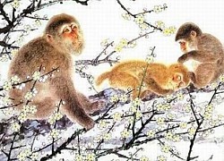 Dịch bệnh khó khăn nhưng 3 con giáp này vẫn đủ cơm ăn áo mặc, tiền bạc rủng rỉnh, cuộc sống ổn định trong 2 tháng tới