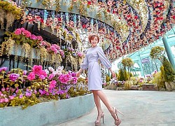 Điểm đến sắc màu ở Singapore