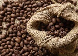 Giá cà phê hôm nay 24/8: Đồng loạt tăng mạnh, Robusta vượt mốc 1.900 USD/tấn