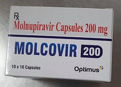 Hơn 300.000 viên thuốc kháng virus molnupiravir về Việt Nam