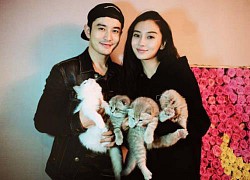 Huỳnh Hiểu Minh vô tình tiết lộ sắp có tin vui với Angela Baby vì "vui miệng" chia sẻ 1 ý nguyện trên sóng truyền hình?