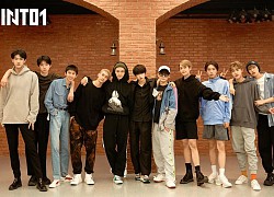 Khổ thân tân binh Sáng Tạo Doanh: Vừa debut đã trúng lời nguyền "flop" vì cứ ra bài mới là đụng scandal Ngô Diệc Phàm và Trương Triết Hạn
