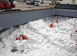 Khuyến cáo doanh nghiệp giao dịch thận trọng tại thị trường Algeria, Senegal
