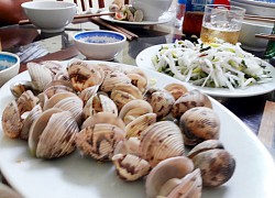 Lạ miệng sò bi