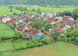 Nhịp sống ở làng đá cổ Nà Vị