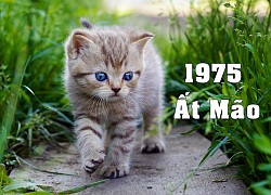 Rằm tháng 7 trở đi 3 con giáp bước qua giai đoạn mới khởi sắc rạng ngời