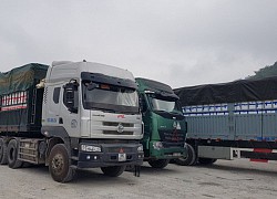 Tạm dừng nhập thanh long Việt Nam, 400 xe nông sản Trung Quốc vẫn được thông quan mỗi ngày