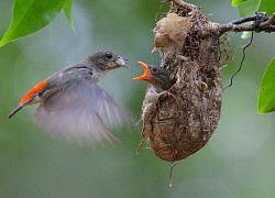 Trẻ sinh ngày Âm lịch mang may mắn cho cha mẹ, gia đình ngày càng hạnh phúc, sung túc