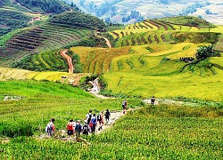 Vì sao du lịch Sapa vào mùa hè luôn là lựa chọn tốt nhất?