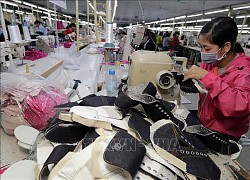 Việt Nam - Argentina: Tạo đà để doanh nghiệp gia tăng xuất khẩu