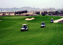 Vụ 2 quan chức đánh golf giữa mùa dịch: Tạm đình chỉ giám đốc trung tâm xúc tiến du lịch