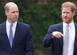 Bạn thân tiết lộ mối quan hệ hiện tại giữa Hoàng tử William và Harry sau hàng loạt bất hòa