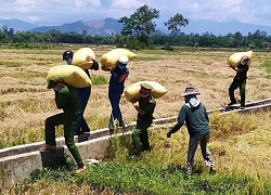 Công an Đà Nẵng triển khai các điểm cung ứng lương thực, thực phẩm tại 30 phường