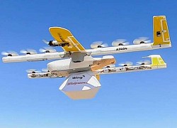 Hàng nghìn suất gà quay được giao bằng drone của Google