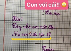 Học sinh đặt câu về mẹ, chỉ chêm vào 2 từ mà ai đọc đều lo cậu bé sẽ ăn no đòn