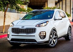 Kia đặt mục tiêu bán 200.000 xe tại Ấn Độ trong năm tài chính 2022