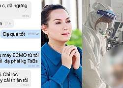 Mới cập nhật: Bác sĩ thông báo tình trạng Phi Nhung: "Đã ngưng được vận mạch"