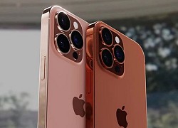 Nên mua iPhone ngay bây giờ hay đợi iPhone 13?