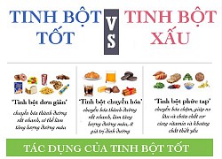 Phân biệt tinh bột tốt và tinh bột xấu