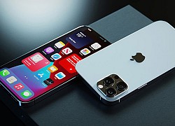 Sếp Apple hé lộ thông tin về sự kiện ra mắt iPhone 13