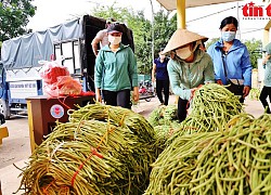 'Tổ hỗ trợ tiêu thụ nông sản' - Cánh tay nối dài cho nông dân mùa dịch COVID-19