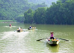 Vườn chim Thung Nham - Điểm du lịch sinh thái đa dạng và hấp dẫn của Ninh Bình