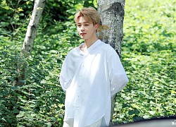 ARMY sơn hình Jimin BTS lên máy bay lớn, vẫy chào từ trên mây