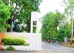 Chọn Đại học Hà Nội (HANU) hay Đại học Ngoại ngữ Quốc gia (ULIS) để học tiếng: Xem bảng so sánh sau để có lựa chọn đúng