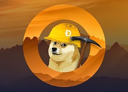 Chủ sàn đa cấp Dogecoin Thổ Nhĩ Kỳ bỏ trốn cùng 119 triệu USD