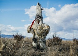 Lễ hội xua đuổi tà ma của người Bulgaria