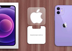 Lý do iPhone, iPad thường có sticker quả táo đi kèm trong hộp