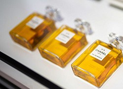 Mỗi chai Chanel No.5 cần 1.000 bông hoa nhài