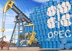 OPEC+ nâng dự báo mức tăng nhu cầu dầu thô trong năm 2022