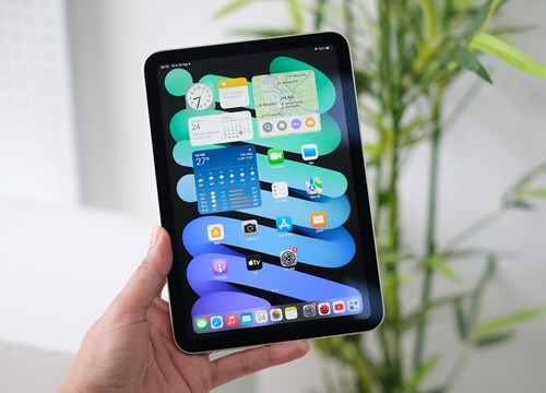 Apple phủ nhận lỗi trên màn hình iPad Mini 6, gọi đó là "điều bình thường"