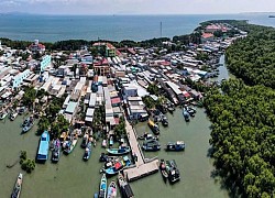 Bảo vệ và phát triển nguồn lợi thủy sản trên địa bàn TP Hồ Chí Minh