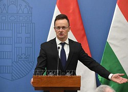 Căng thẳng quan hệ Hungary và Ukraine