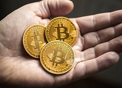 Giá Bitcoin hôm nay 29/9: Bitcoin lao dốc trong 'biển lửa'