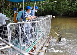 Hàng loạt địa phương hưởng ứng khôi phục du lịch nội địa