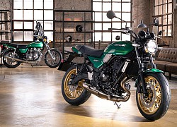 Kawasaki Z650RS vừa ra mắt có gì khác Z950RS?