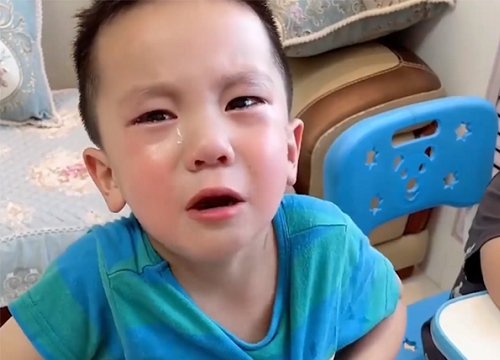 Không tính được phép toán, anh trai bảo cho đi nuôi heo khiến cậu bé khóc thét