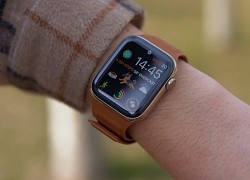 Loạt tính năng hữu ích mà người dùng Apple Watch có thể bỏ qua